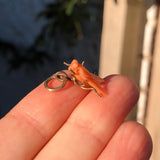 Antique Victorian Carved Coral Insect Fly Charm