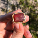 Antique Georgian Carnelian Fleeing Caged Bird Intaglio Fob