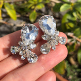 Vintage Christian Dior Paste Earrings