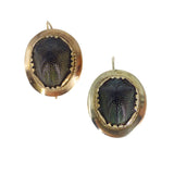 Antique Victorian Gold Tortoise Scarab Beetle Earrings