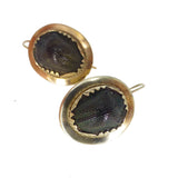 Antique Victorian Gold Tortoise Scarab Beetle Earrings